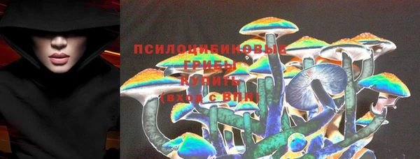 Альфа ПВП Нея