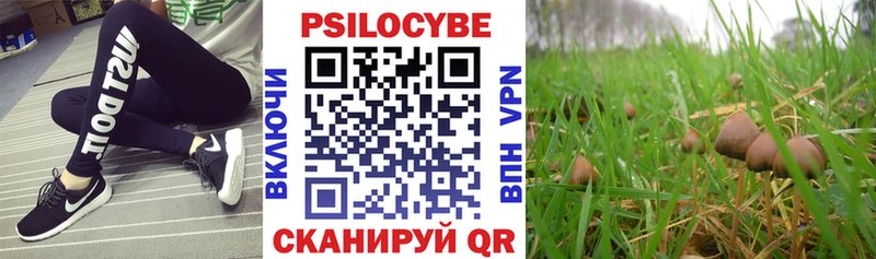 Псилоцибиновые грибы Psilocybe  Баймак 